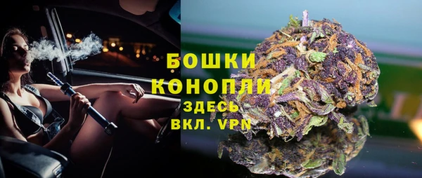 индика Вязники